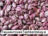 3D фасоль высокого качества из Киргизии - photo 1