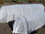 Спанбонд для Теплицы - fotosurat 2