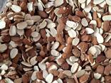 Almond - фото 1