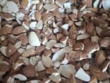Almond - фото 2