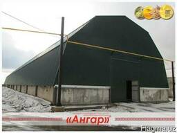 Ангары которые не падают