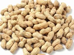 Арахис крупный, мелкий опт