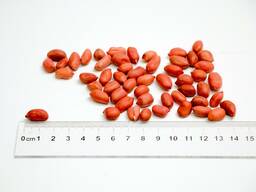 Арахис очищенный