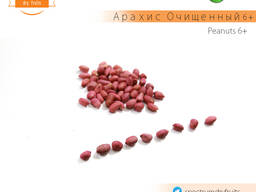 Арахис очищенный 5/6 Калибр