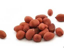 Арахис оптом !