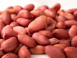 Арахис оптом в Узбекистане