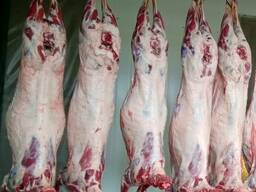 Баранина, ягнятина Halal