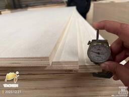 Bleached poplar plywood-фанера из беленого тополя