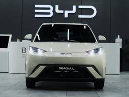 BYD Seagull 405km Parvoz