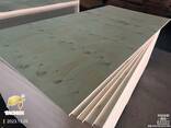 CDX pine plywood-CDX сосновая фанера - фото 3