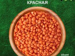 Чечевица красная, 25кг