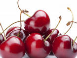 Cherry variety bull's eye from Uzbekistan - fotosurat 2