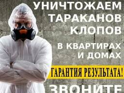 Дезинфекция