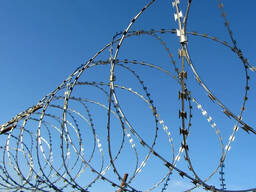 Егоза
