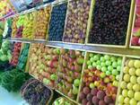 Экспорт фруктов, овощей и зелени - фото 2