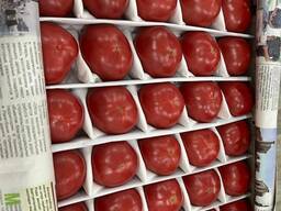 Экспорт помидоры из Узбекистана