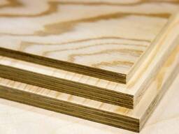 Фанера Китай/Узб/Рус!! Опалубка, фундамент, перекрытий