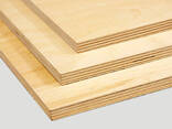 Фанера, все виды, все размеры, все толщины - fotosurat 2