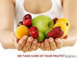 Фасовочно-упаковочные линии для фруктов и овощей (Италия)