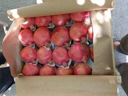Pomegranate
