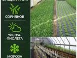 Геотекстиль СУФ плотность 120 гр. , Оптовые Цены!!! - fotosurat 2