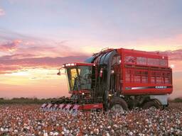 Хлопкоуборочные машины СASE (4x и 6ти рядные)