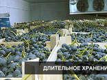 Холодильное оборудование - fotosurat 3