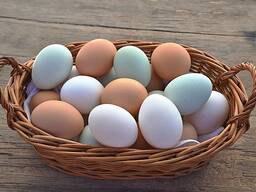 Jinsiy qora katta Mushuk ichida porno kerosin