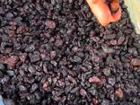 Изюм черно красный, The raisins are black and red, Rodzynki czarno czerwone - fotosurat 7