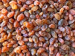 Изюм сорт Офтоби (Сушеный на солнце экологический чисты продукт)