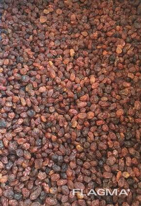 Изюм Султана Афтоби/Sultana Aftobi raisins