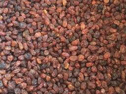 Изюм Султана Афтоби/Sultana Aftobi raisins