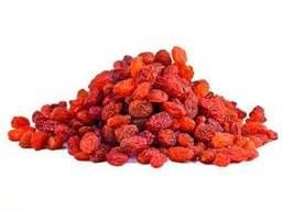 Изюм Sultana (sultana raisins )