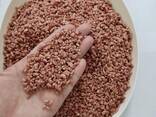Калий хлористый (Potassium Chloride / MOP) - fotosurat 1