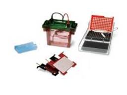 Камера для белкового блоттинга Criterion Blotter With Plate Electrodes, Bio-Rad, 1704070