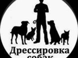 Кинолог инструктор дрессировщик