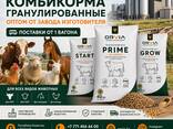 Комбикорм гранулированный для бройлеров от завода производителя - fotosurat 2