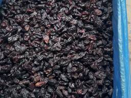 Корм для птиц изюмом/Bird Feed Raisins