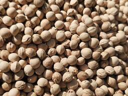 Косточки вишни