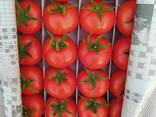 Красный помидоры - fotosurat 1