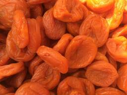 Курага из Узбекистана