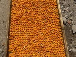 Shokoladli quritilgan o'riklar, sanoat, premium