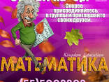 Курсы иностранных языков#tashkent - фото 2