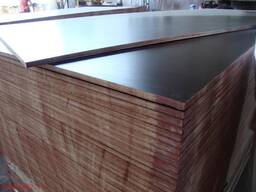 Laminatsiyalangan kontrplak 1220x2440 Rossiya Xitoy
