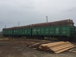 Лес круглый. Сосна, ель, береза, лиственица