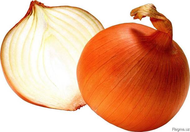 Лук