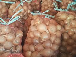 Лук