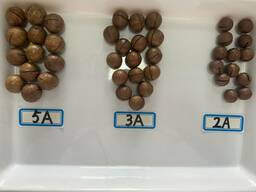 Макадамия в скорлупе калибра: 2A,3A,5A
