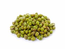 Маш очищенный оптом, mung beans wholesale