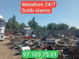 Metallom